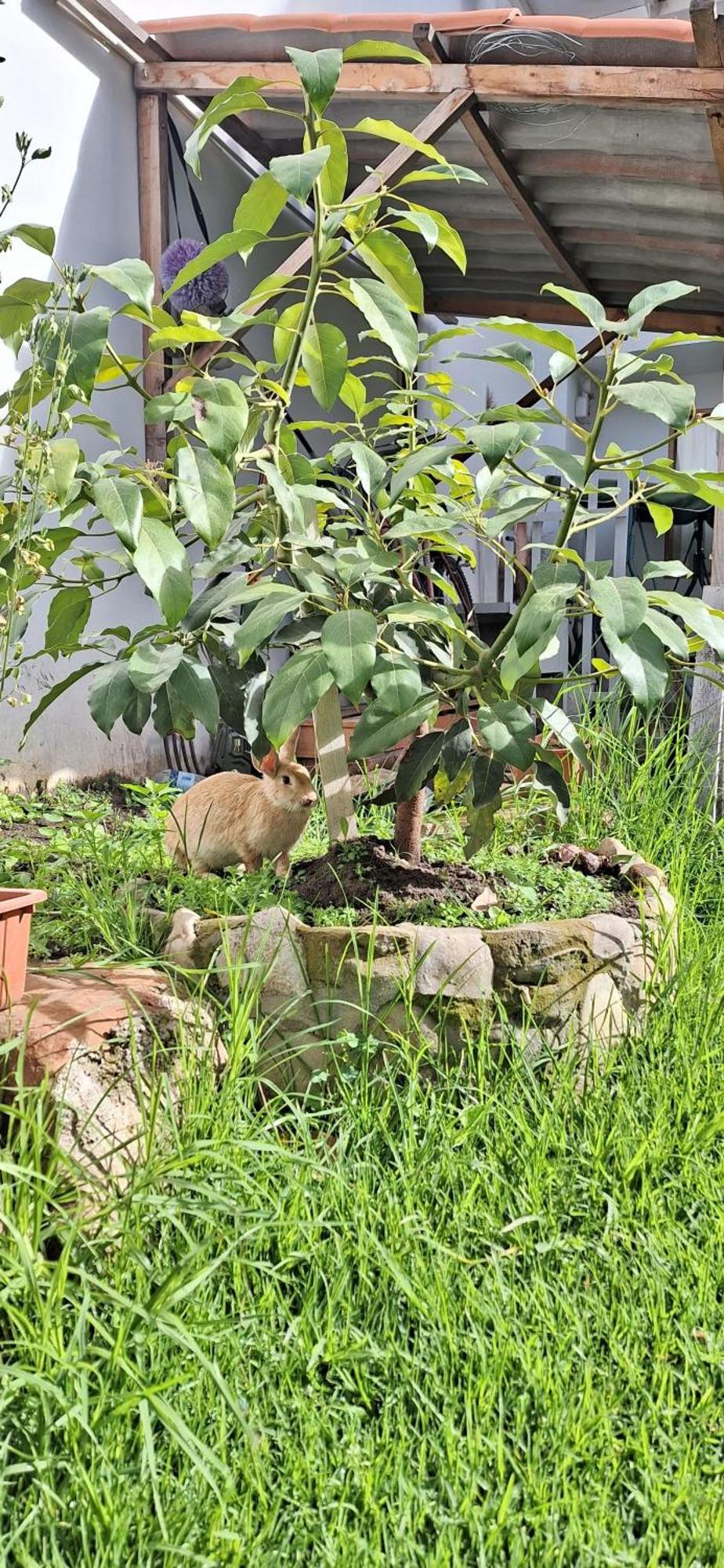 Wayra Hospedaje Cajamarca Luaran gambar