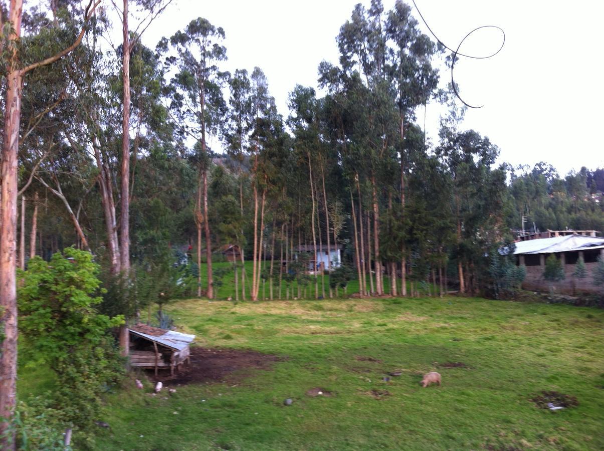 Wayra Hospedaje Cajamarca Luaran gambar